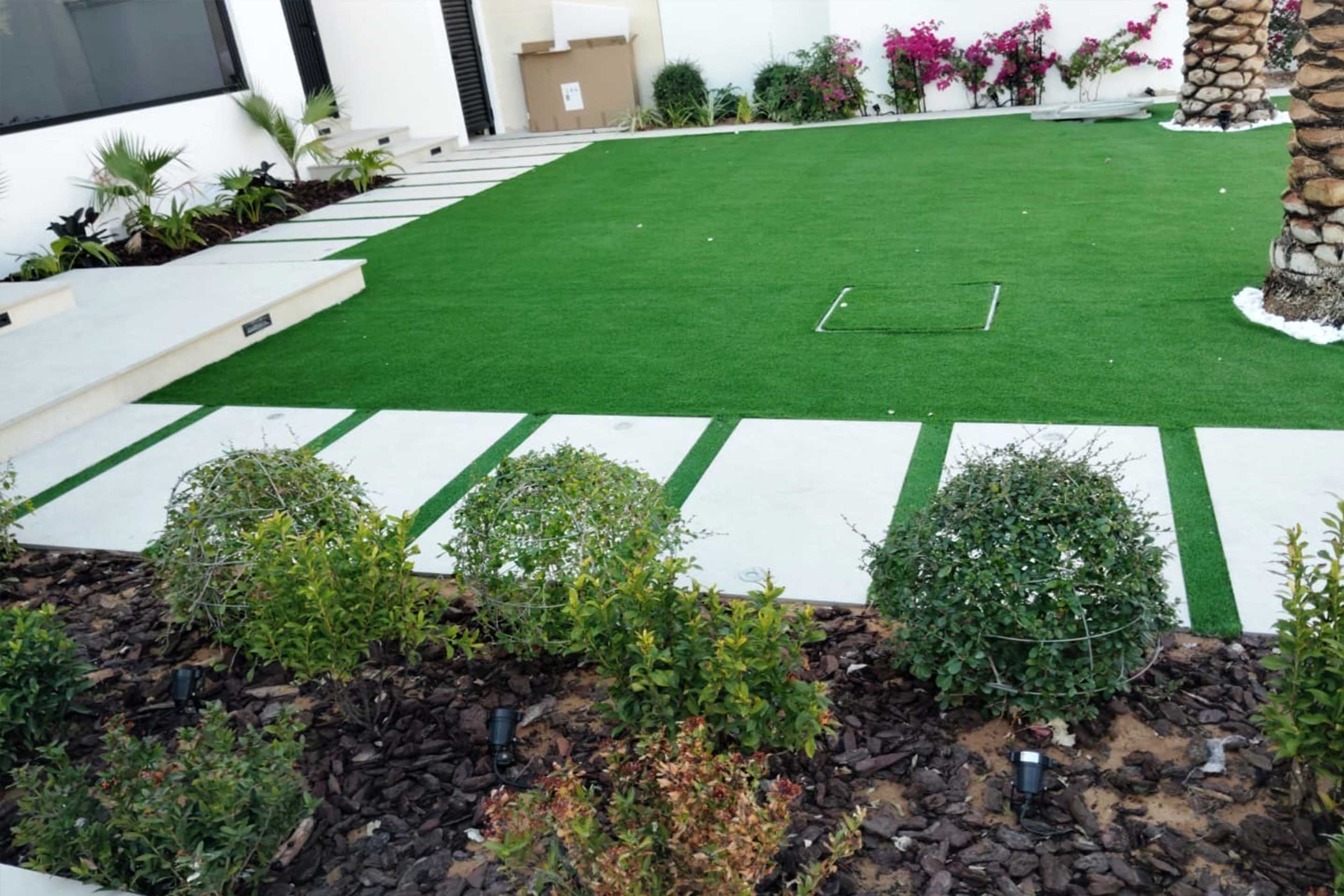 Artificial Grass